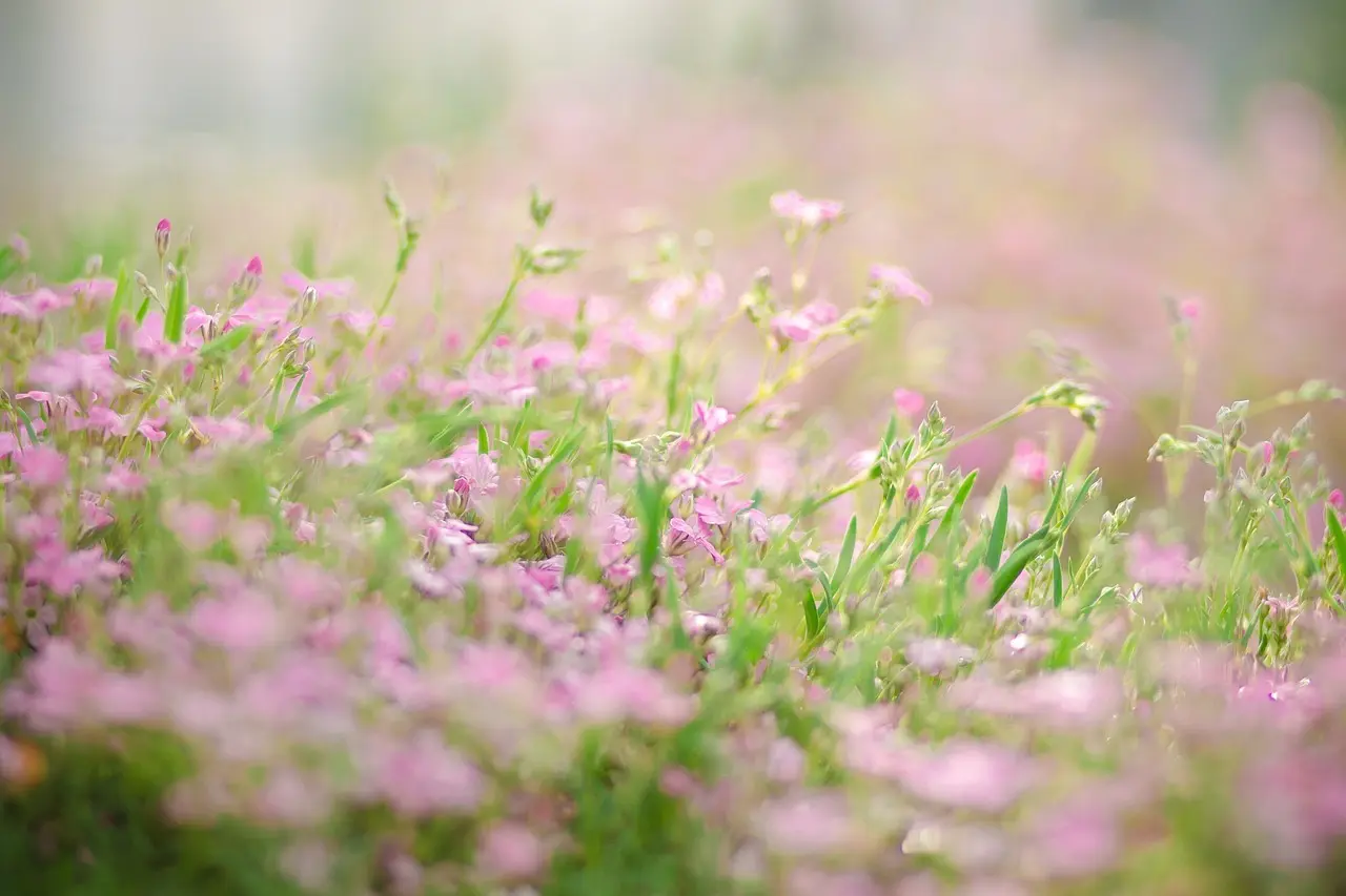 Multifunktionelle møbler: De smarte valg til fleksible boliger